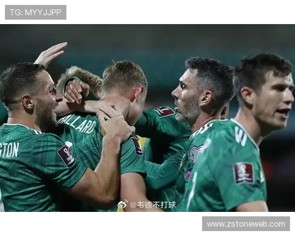 波兰与立陶宛足球比赛现场直播全程回顾与精彩瞬间分享